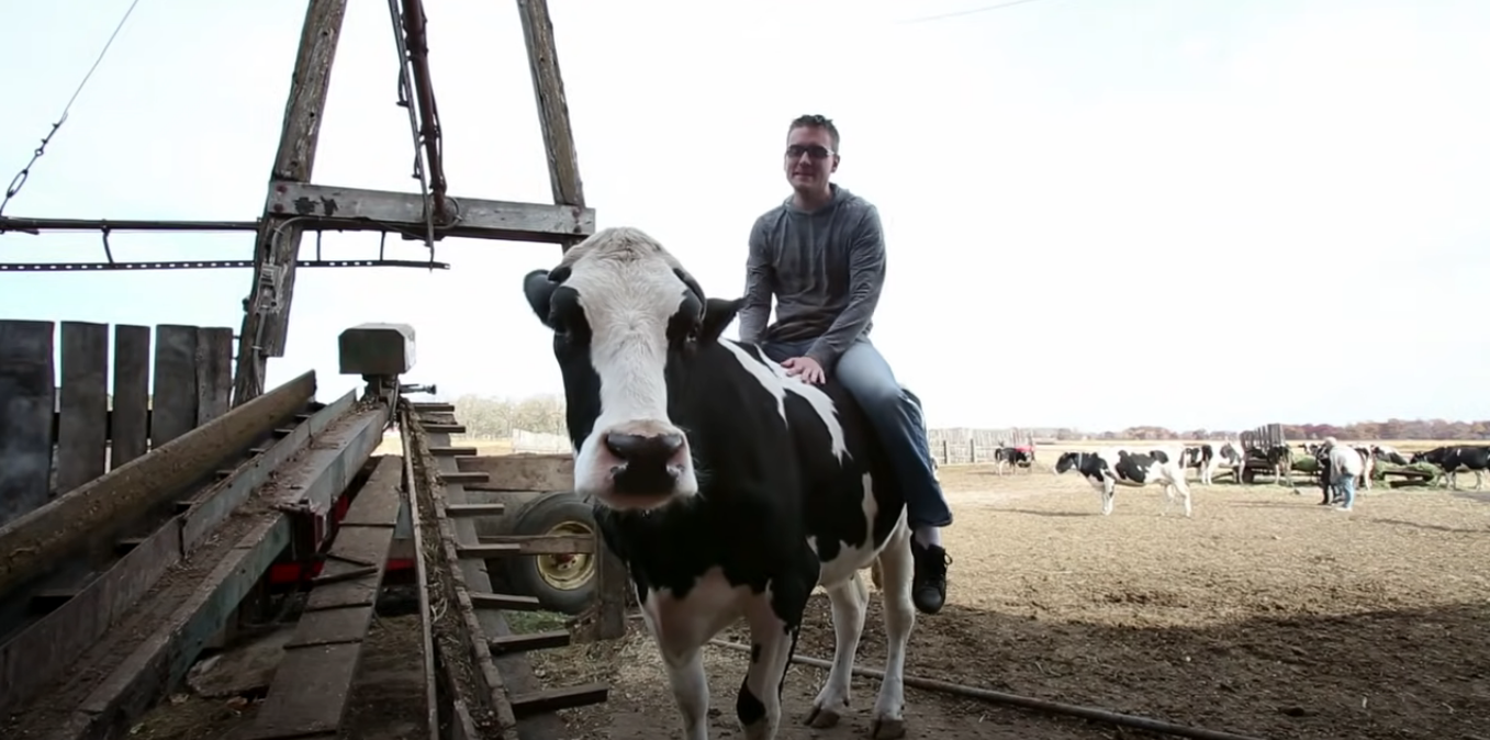 "شطيرة برغر من الصفر" في 6 أشهر.. كيف كانت رحلة زراعة القمح وصناعة الجبن وذبح دجاجة؟ (فيديو)