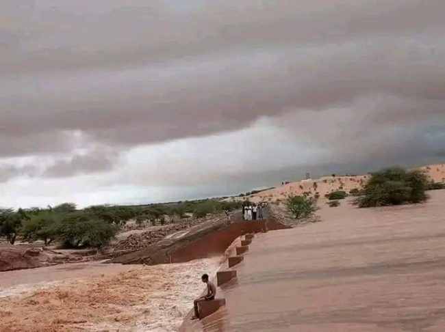 قضى أكثر من 20 ساعة محاصراً بين السيول.. فيديو إنقاذ الطفل الموريتاني الذي شغلت محنته الناس (فيديو)