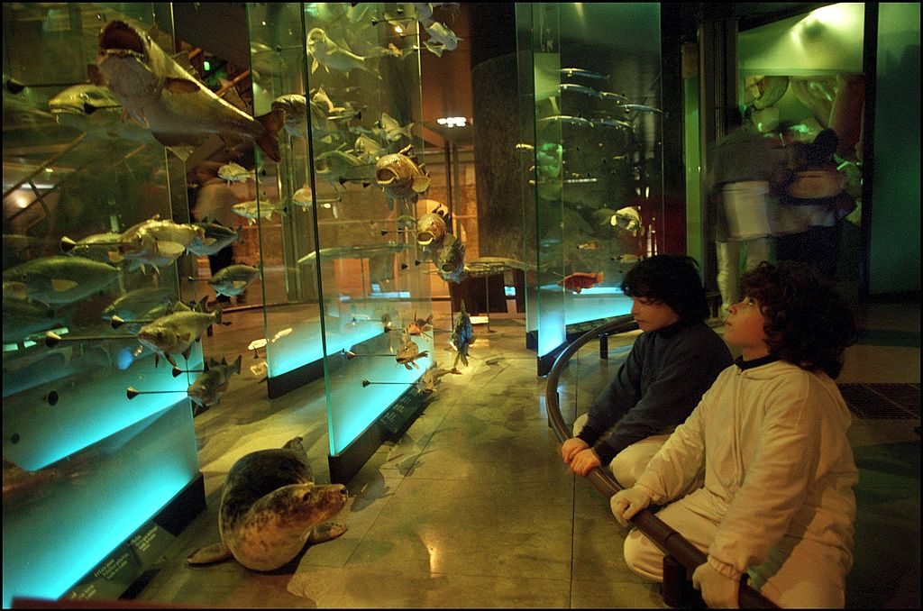 أطفال القمر