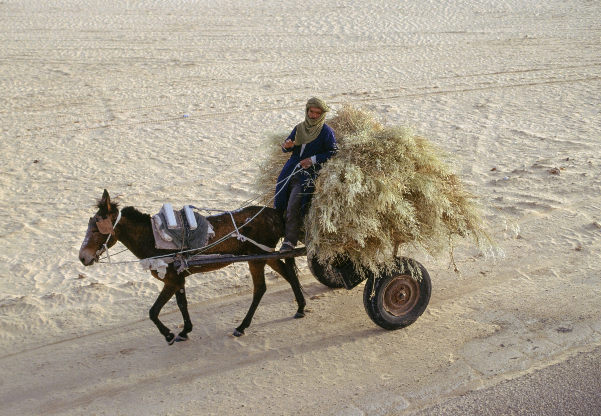 الجزائر أعلى درجة حرارة
