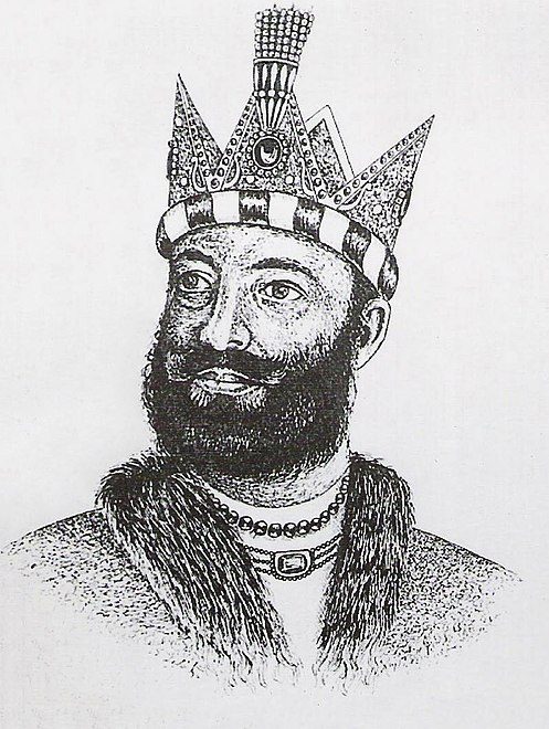 محمود الغزنوي\ ويكيبيديا