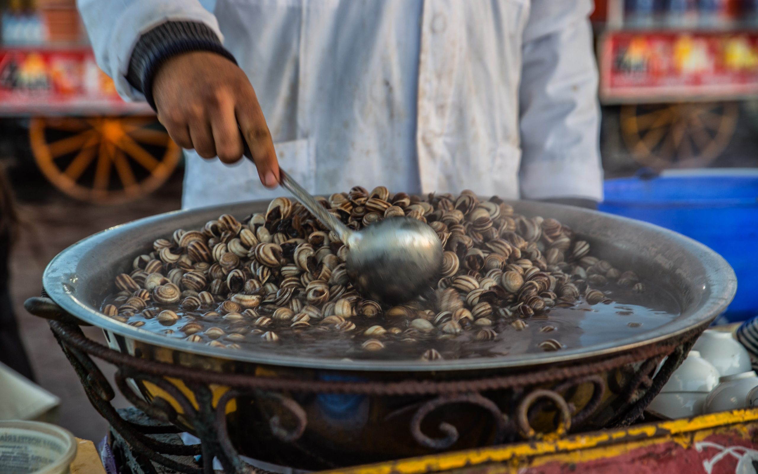 شوربة الحلزون في المغرب| Shutterstock