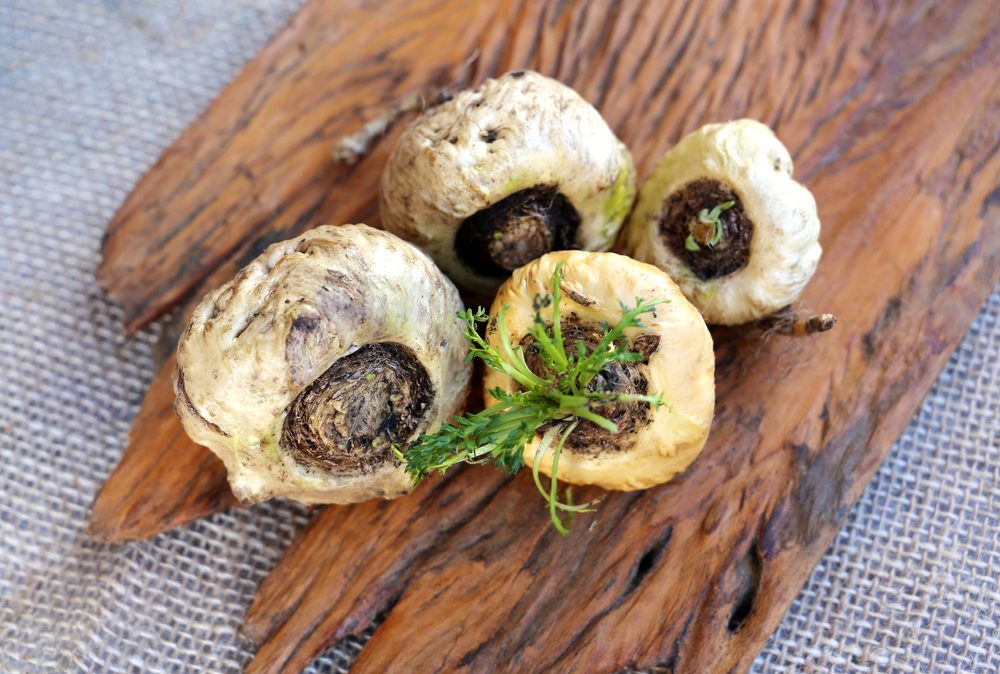 يعزز القدرات الذهنية ويخفف أعراض سن اليأس.. فوائد نبات الماكا، ومحاذير الاستخدام