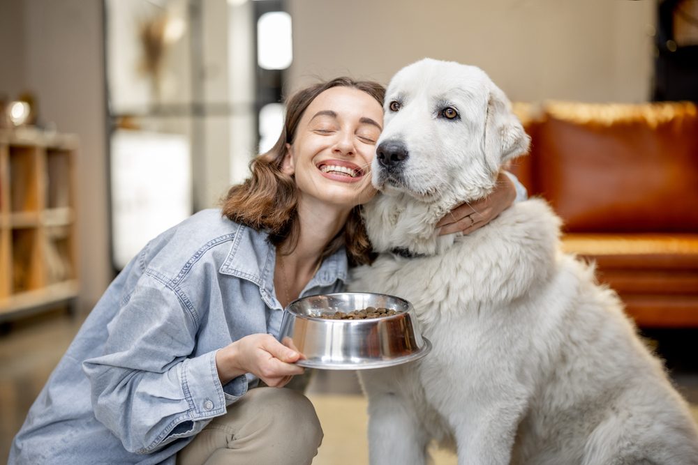 طعام الحيوانات الأليفة\ shutterstock
