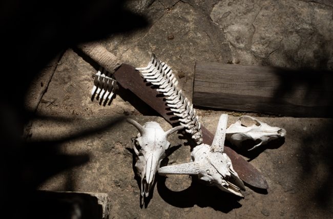 هياكل عظمية لوحوش مخيفة وبقايا مخلوقات غريبة حيرت العالم.. مجموعة ميرلين الغامضة