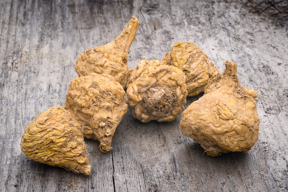 النبات له العديد من الفوائد والاستخدامات - ShutterStock