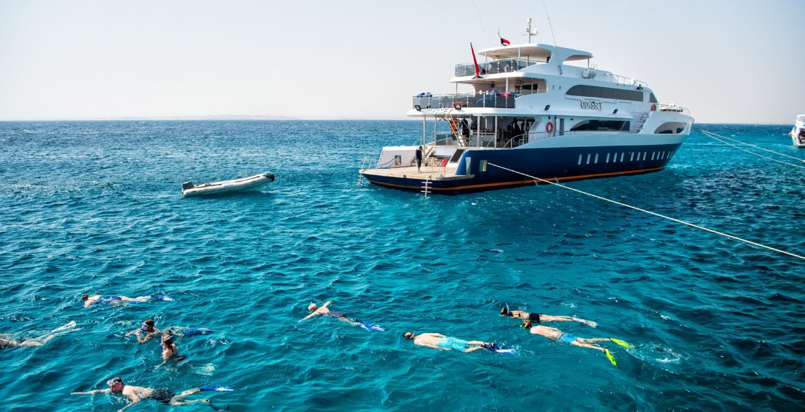 زوجها حاول طمأنتها قبل وفاتها! فيديو “صعب” للحظات الأخيرة لسيدة نمساوية قتلتها سمكة قرش في مصر