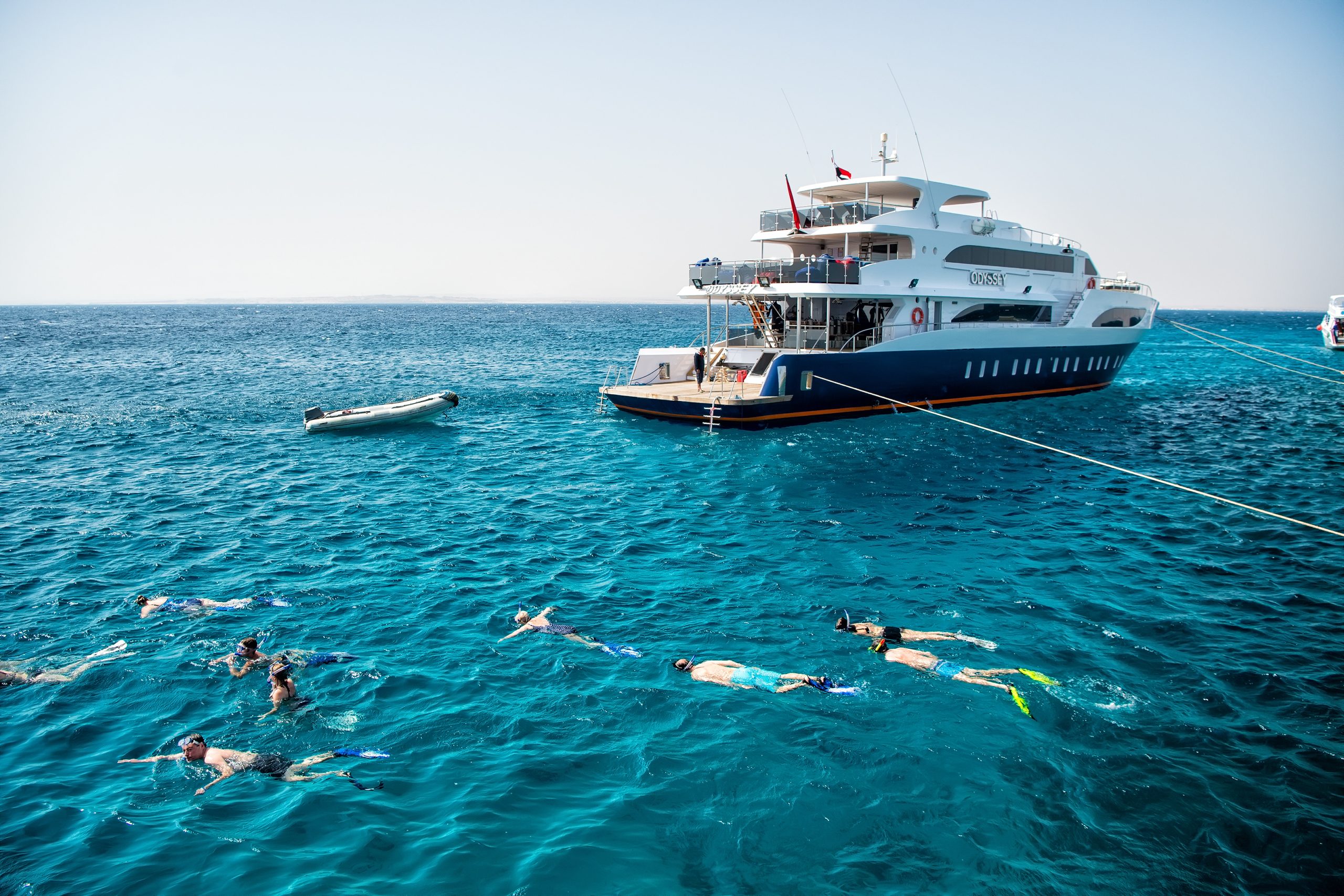 مصر الغردقة سائحة نمساوية قرش