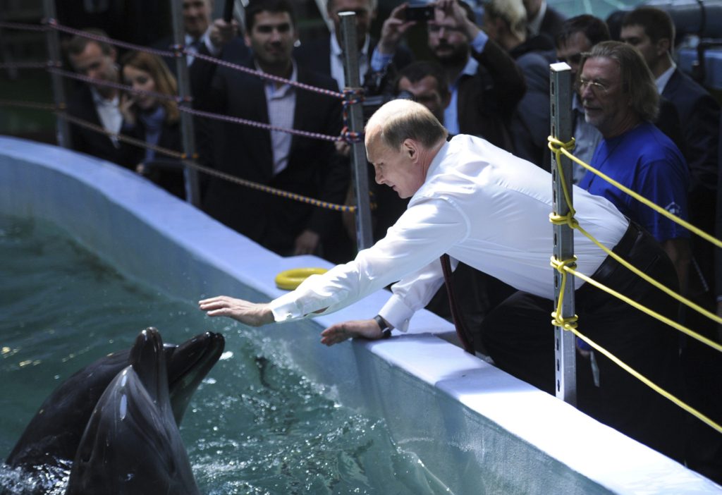 بوتين مع أسماك دولفين - 2013/ رويترز