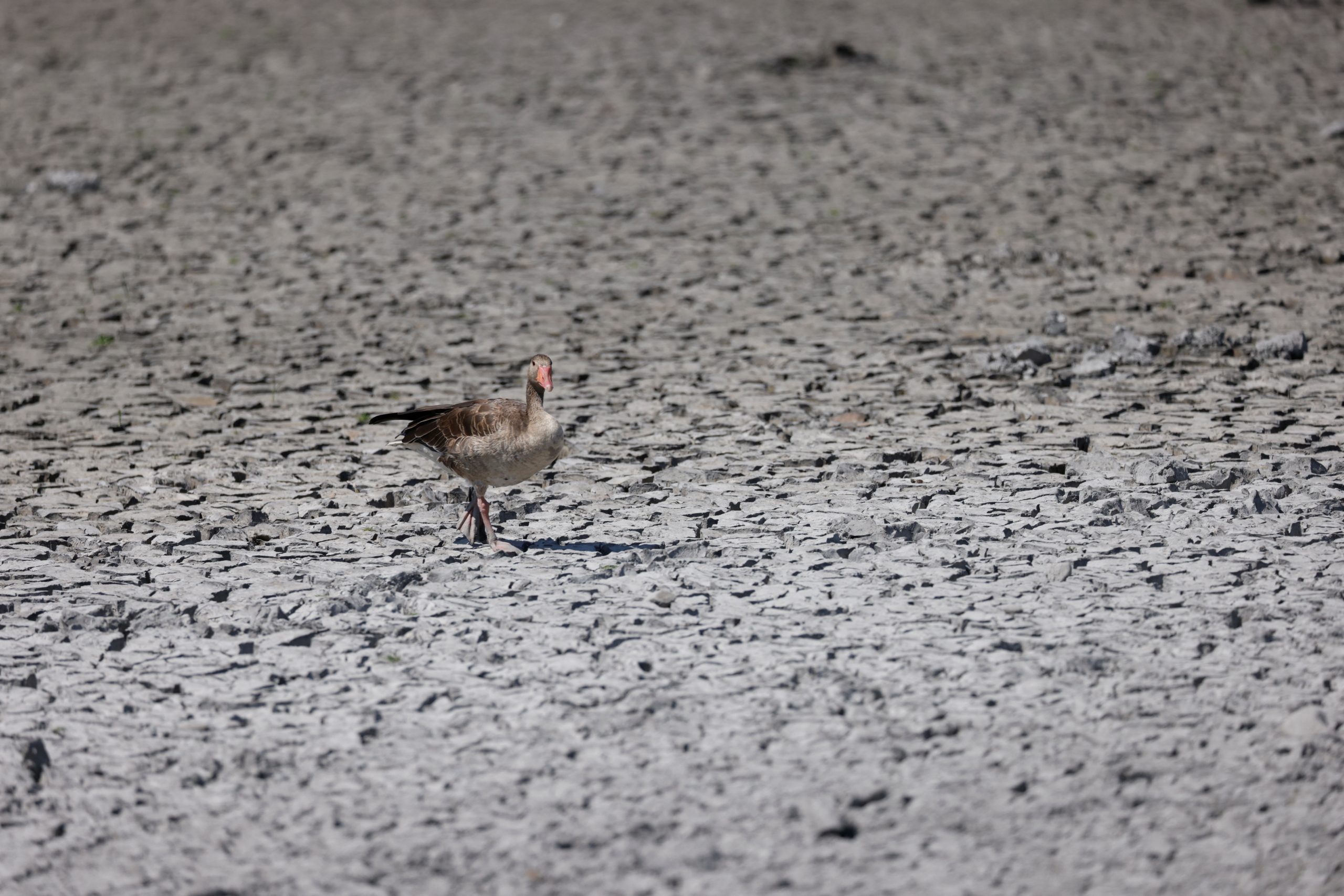 سيول بدول خليجية وجفاف بأوروبا.. تحذيرات من رياح وأمطار بعُمان والسعودية، وأنهار بأوروبا تنخفض