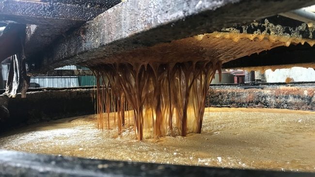 تسبب سرطان القولون وتصلب الشرايين.. زيوت الطعام المستهلَكة كارثة تقتل المصريين