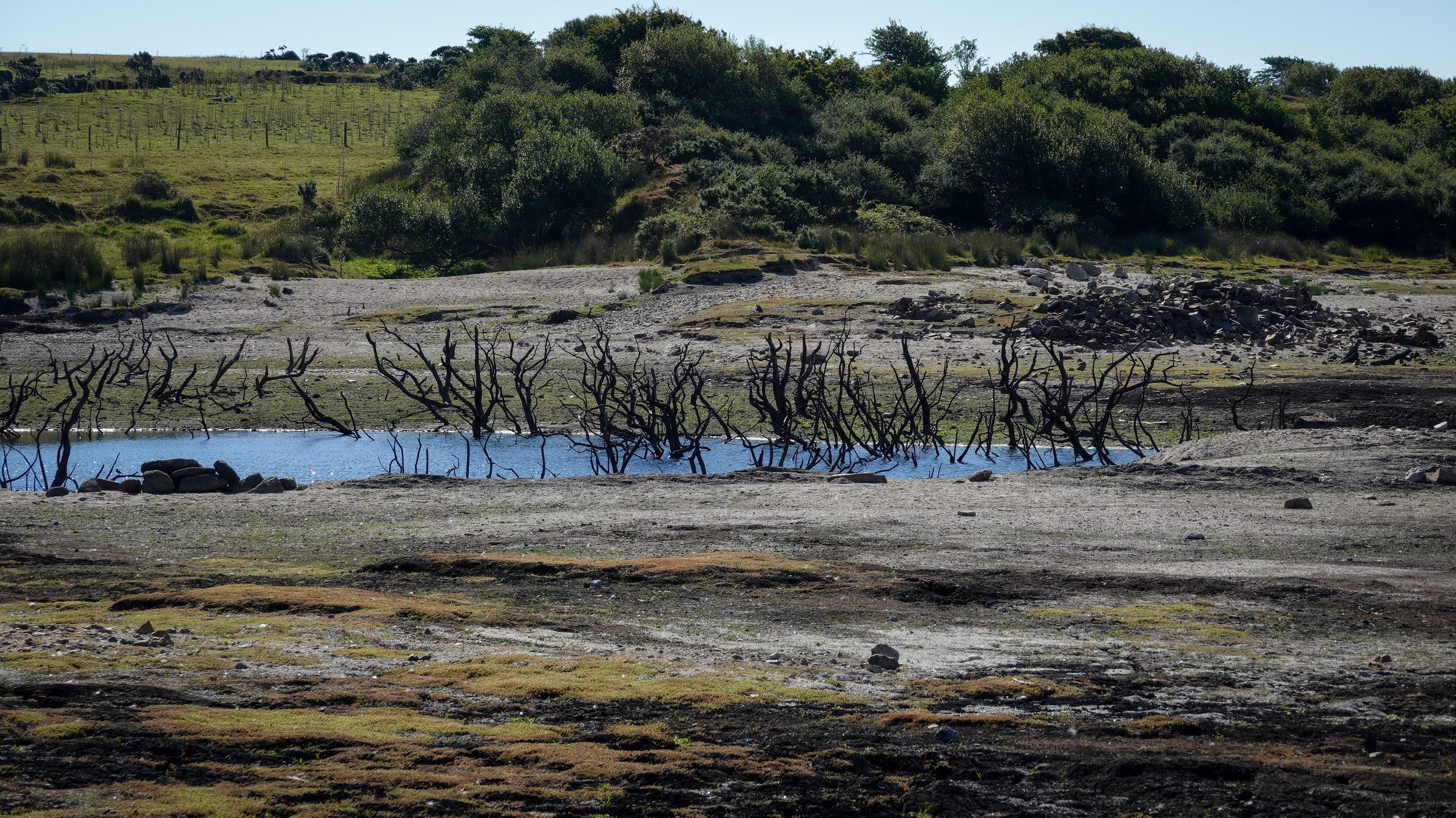 الجفاف في بريطانيا