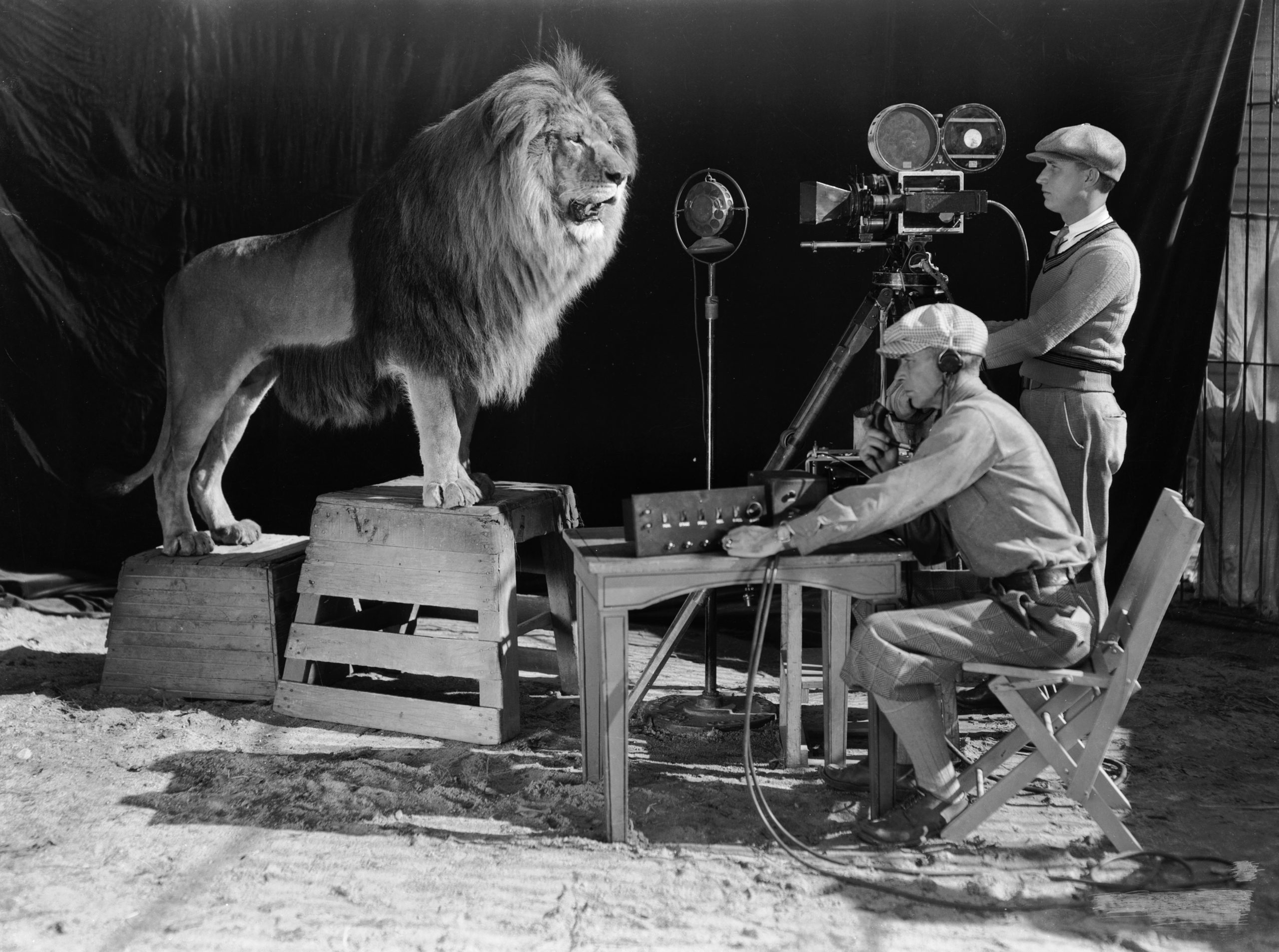 Getty Images/ كواليس مجنونة خلال تصوير فيلم Roar 