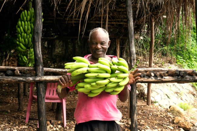 عندما دبرت المخابرات الأمريكية انقلاباً عسكرياً طمعاً في “الفاكهة”! القصة وراء تسمية “جمهورية الموز”