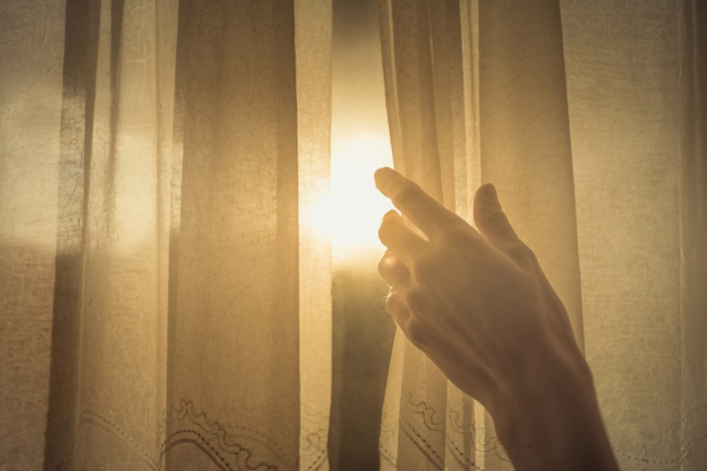 البدايات الجديدة