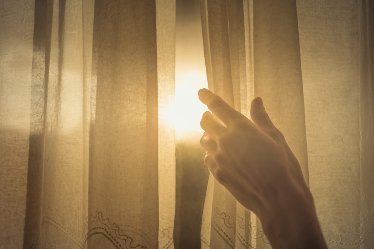 البدايات الجديدة