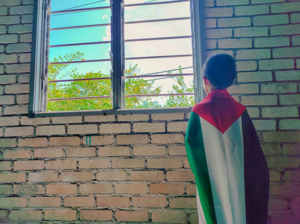 الاحتلال الإسرائيلي