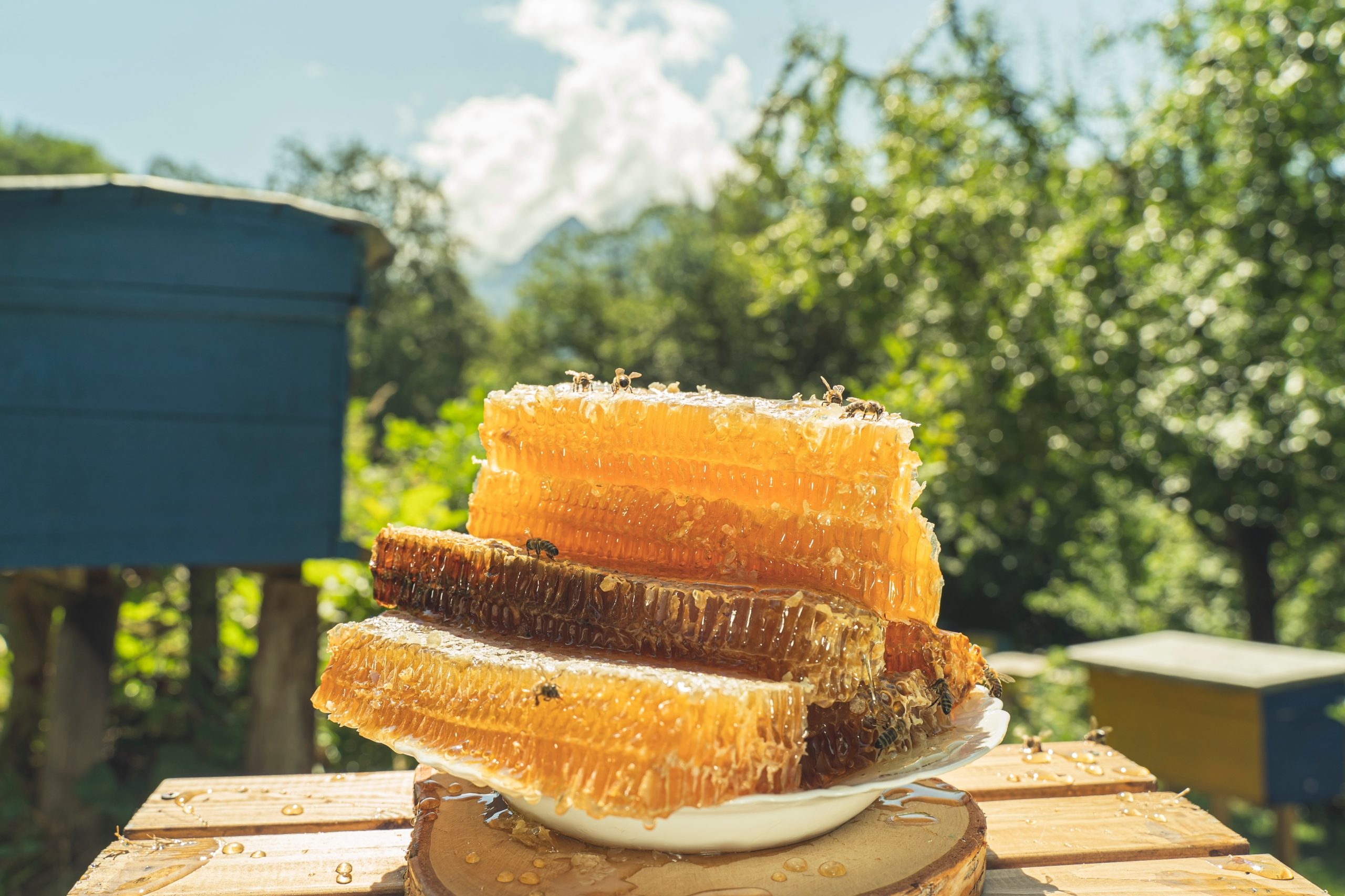 Shutter Stock/ عسل الهلوسة