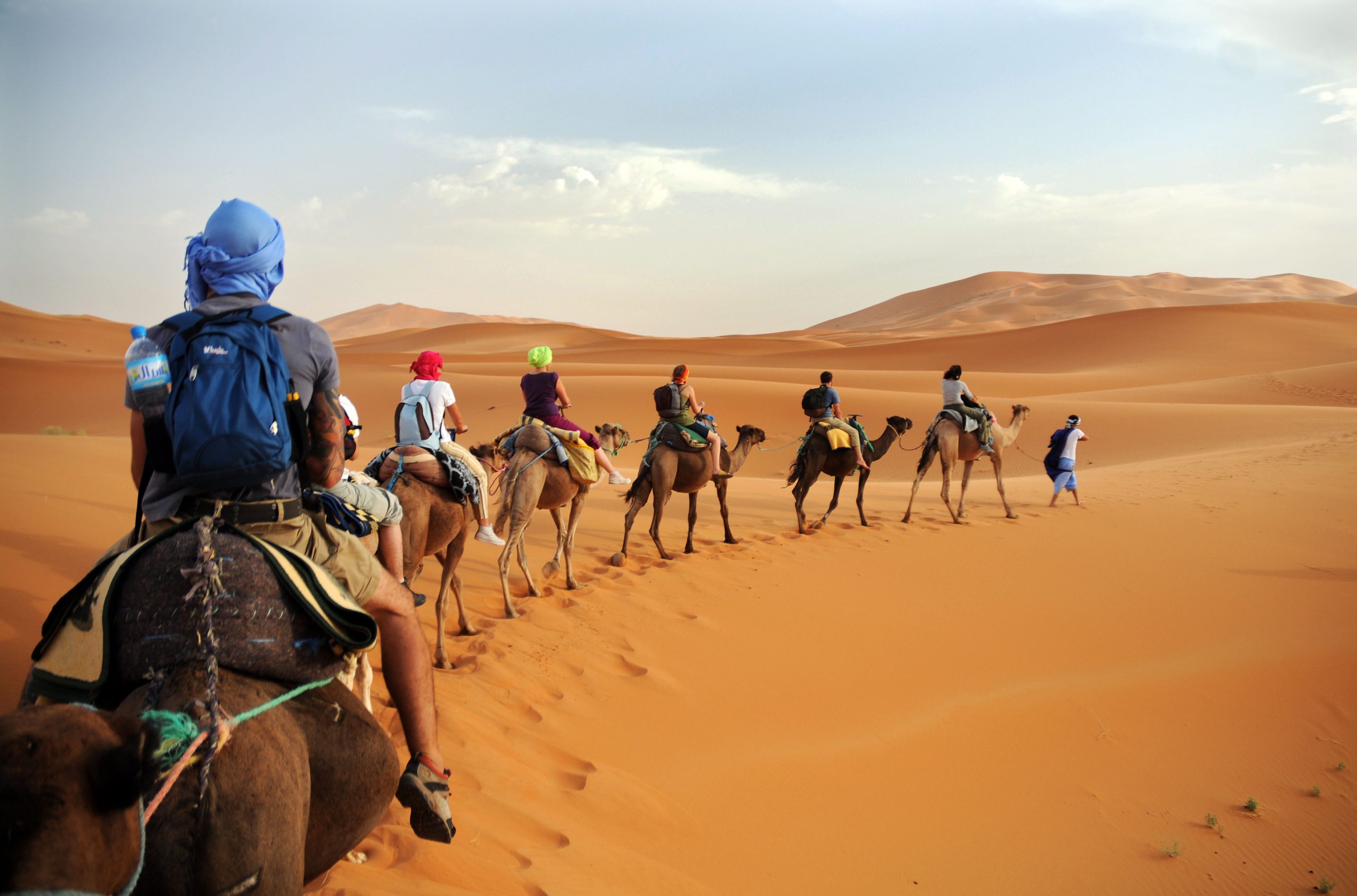 ركوب الجمال في صحراء مرزوكة |shutterstock