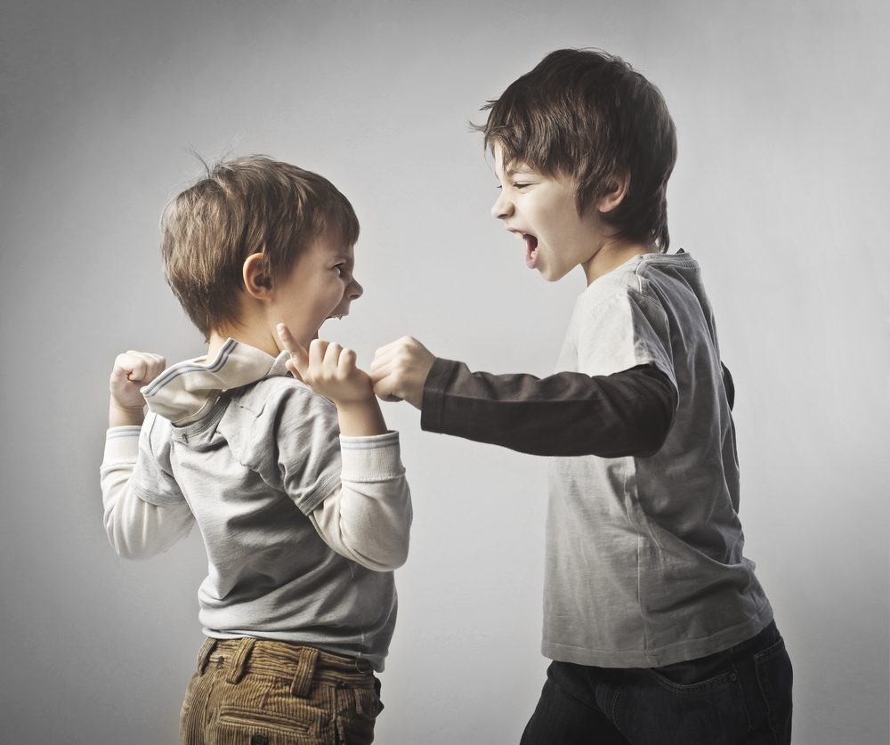 شجار بين الأطفال/ Shutterstock