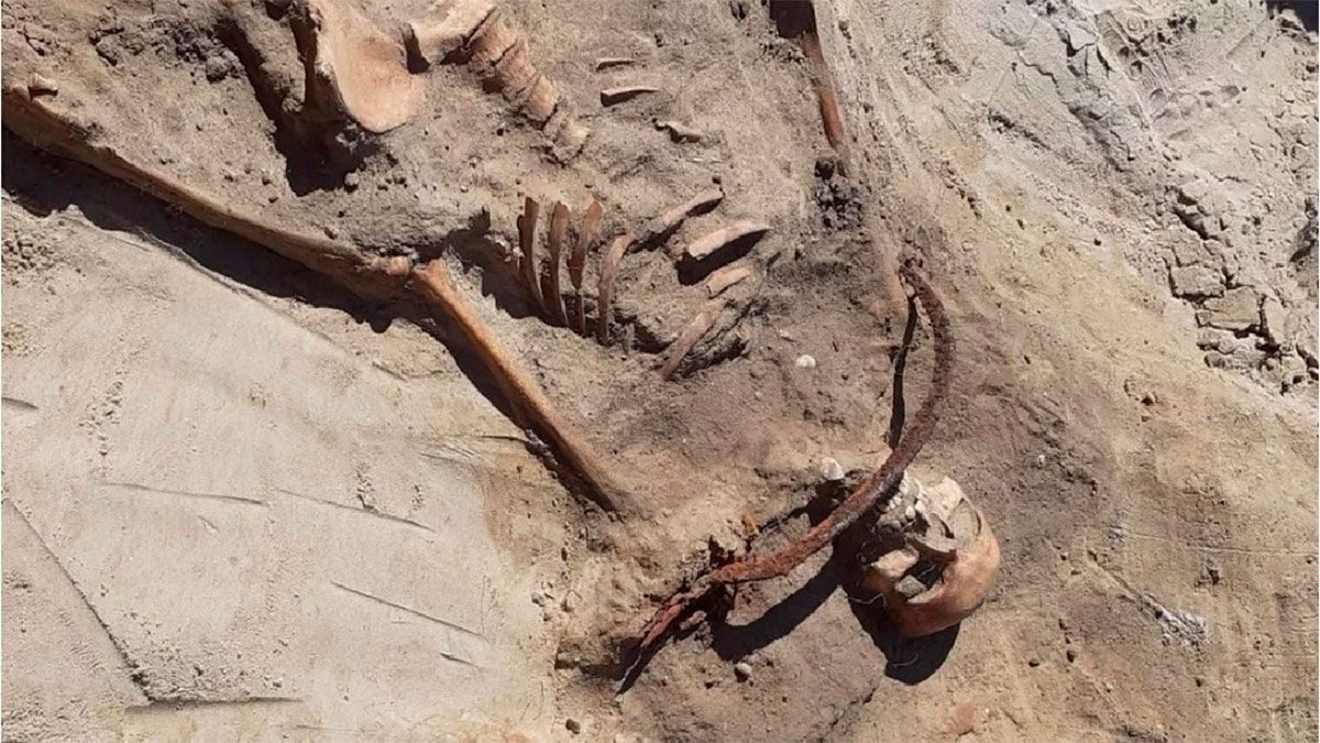 هيكل عظمي لمصاصة دماء عُثر عليه في بولندا/ مواقع التواصل