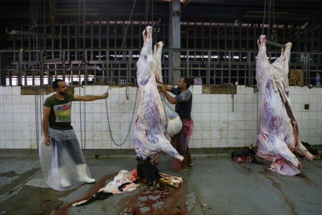 تبيع المستورد بنصف ثمن “البلدي”.. استثمار الحكومة المصرية في لحوم المواشي يجبر المزارعين على غلق حظائرهم