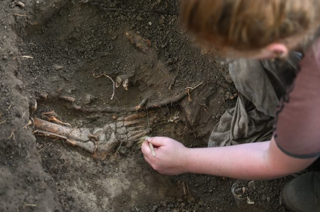 دفنوها بطريقة غريبة لمنع عودتها من الموت.. اكتشاف هيكل عظمي لـ”مصاصة دماء” في بولندا (صور)