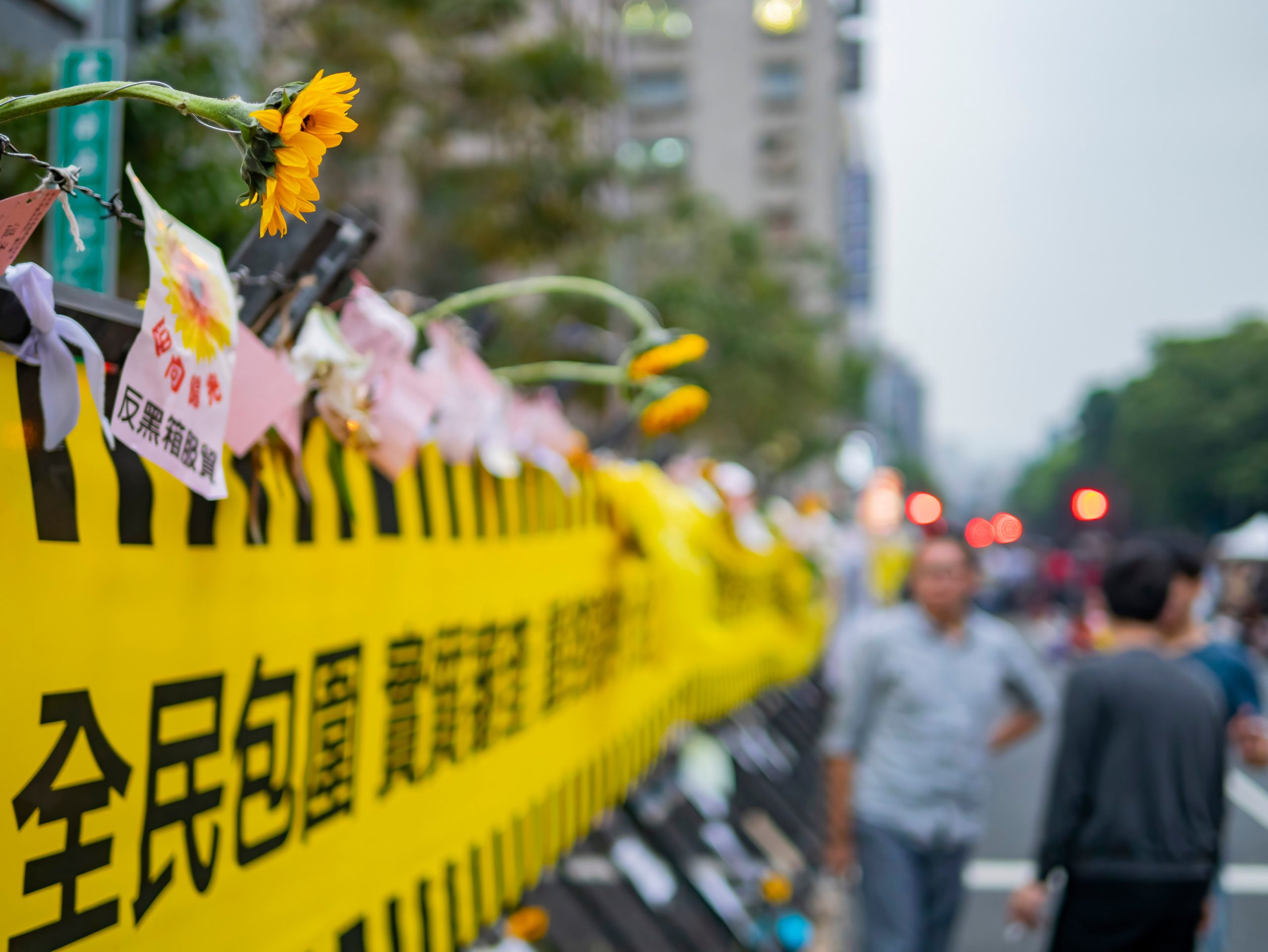 Shutter Stock/ عباد الشمس في تايوان