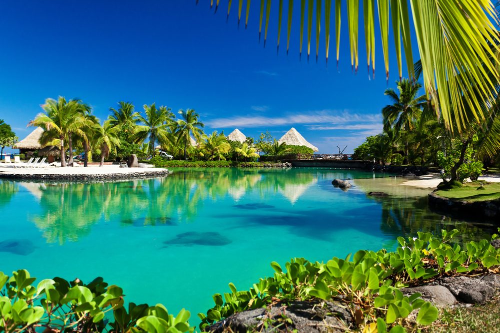 بورا بورا shutterstock