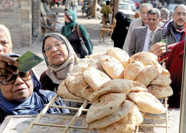 من إعدام الكتاكيت إلى نقص القمح.. مصر تحاول حماية الجنيه بعرقلة الاستيراد، فهل تنجح هذه الخطة؟