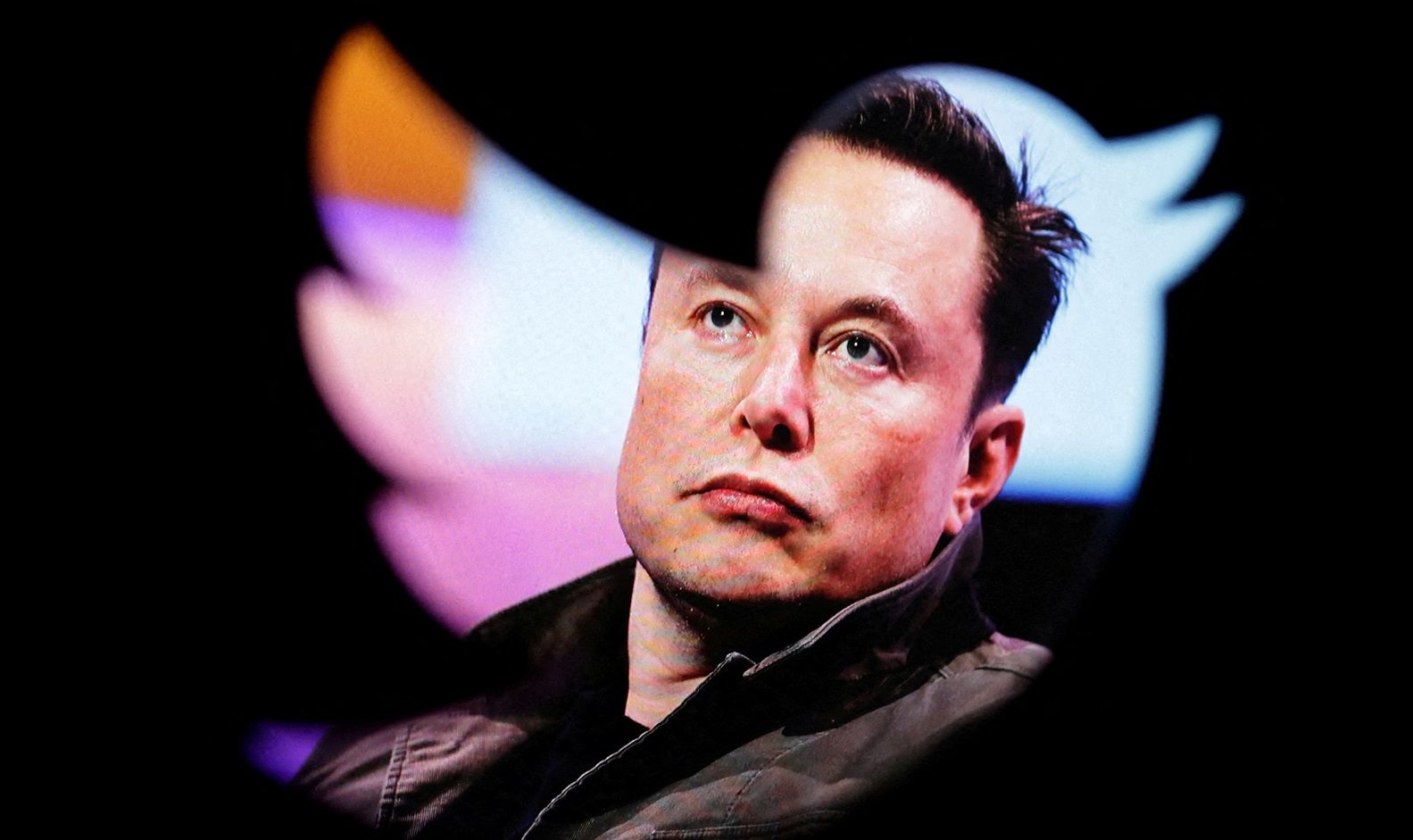 إيلون ماسك تويتر