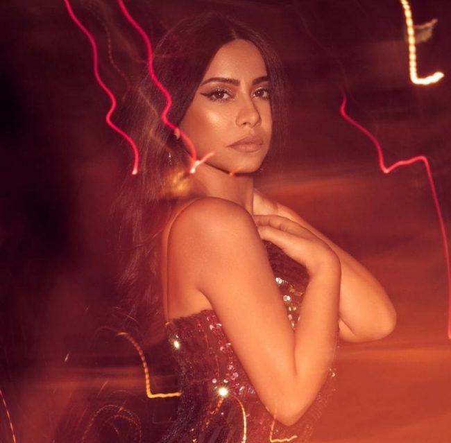 ممنوع زيارة شيرين.. نقيب الموسيقيين المصري: “الموضوع بقى أكبر مننا” (فيديو)