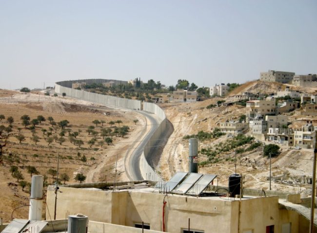 مأساة الزراعة خلف الجدار.. كيف حُرم الفلسطينيون من أراضيهم الخضراء ومحاصيلهم الزراعية؟