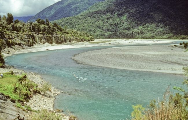 وظيفة أحلام براتب خيالي وفي مكان فريد للعيش.. نيوزيلندا لم تجد من يشغلها فلجأت للبحث في الخارج