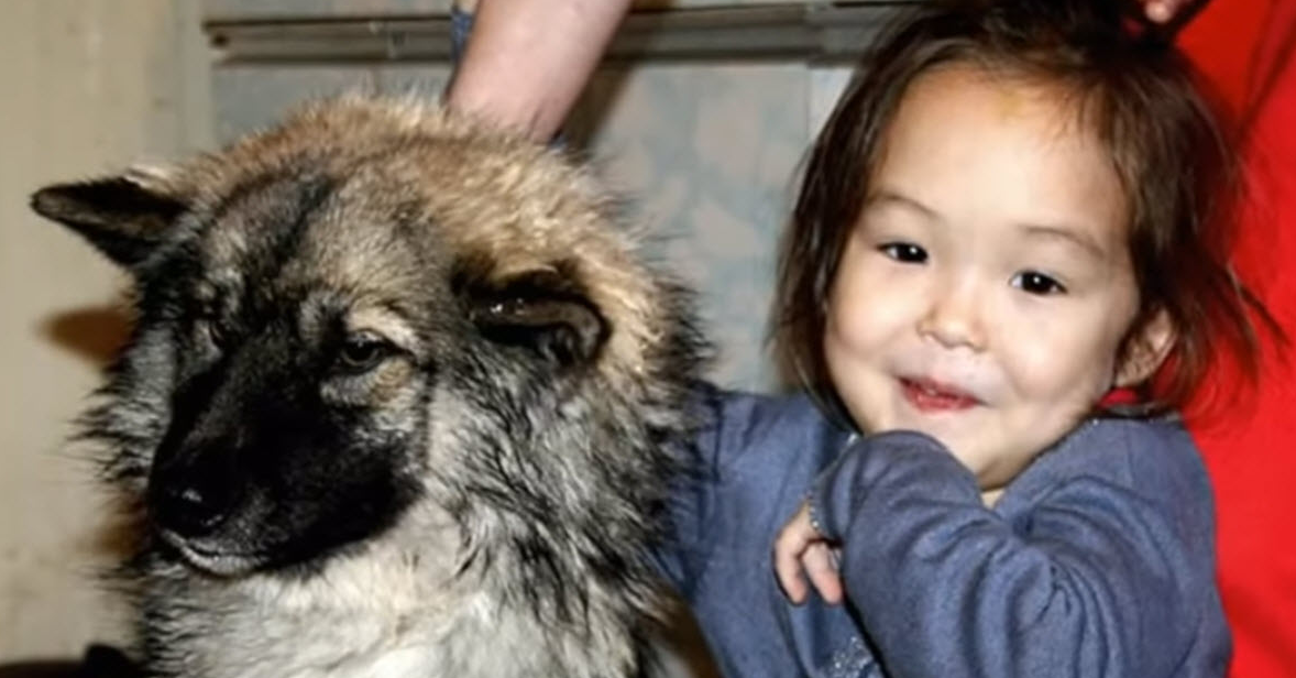 كارينا تشيكيتوفا