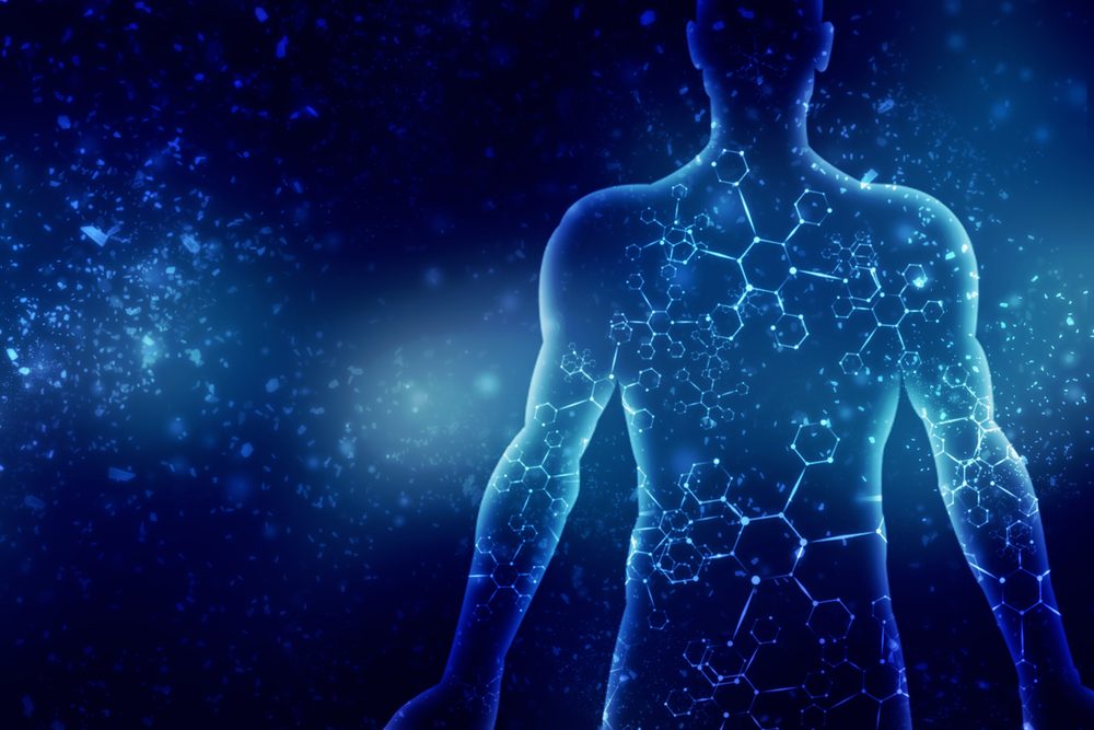 حتى خلايا المعدة والأمعاء تتغير باستمرار.. كيف تجدد أجسامنا نفسها كل بضعة سنوات؟