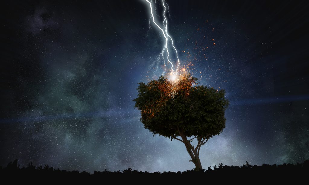 صواعق البرق