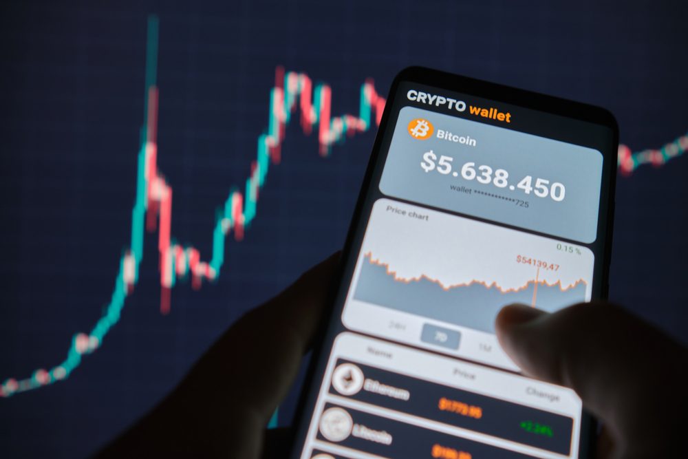 تستعمل محفظة كريبتو لإدارة واستخدام العملات الرقمية، مثل البيتكوين والإيثيريوم/ Shutterstock