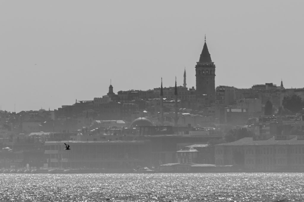 Shutter Stock/ يوم تحرير إسطنبول