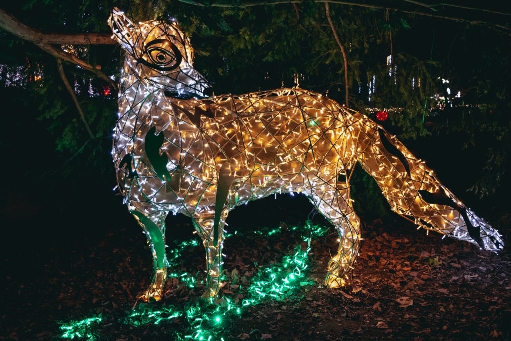 مشروع فانتازيا