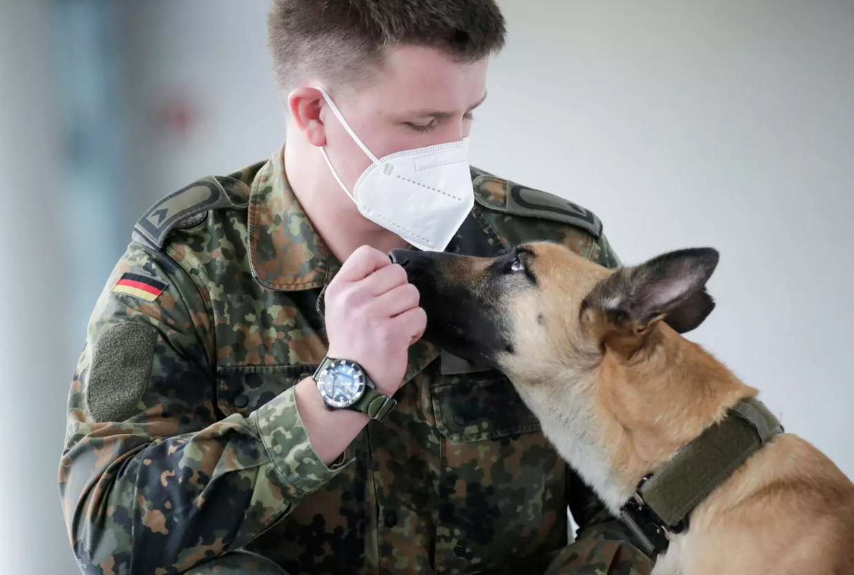 كيف تكشف الكلاب عن المخدرات والحالات الإيجابية لكورونا، وإلى مدى هي دقيقة ويمكن الاعتماد عليها؟