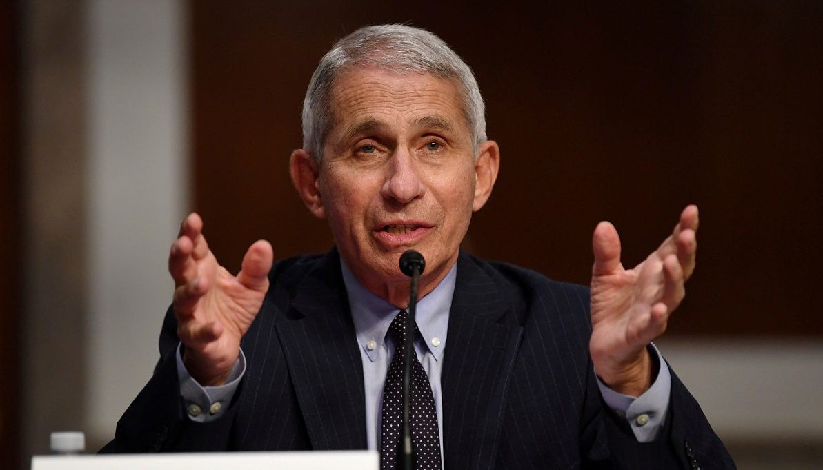 فاوتشي كورونا