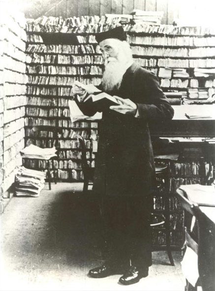 تشيستر أثناء تصفح المكتبات واستعارة الكتب - Wikimedia Commons