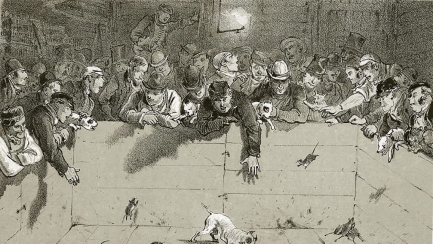 جمع براز الكلاب ونبش القبور.. 7 من أسوأ الوظائف في العصر الفيكتوري