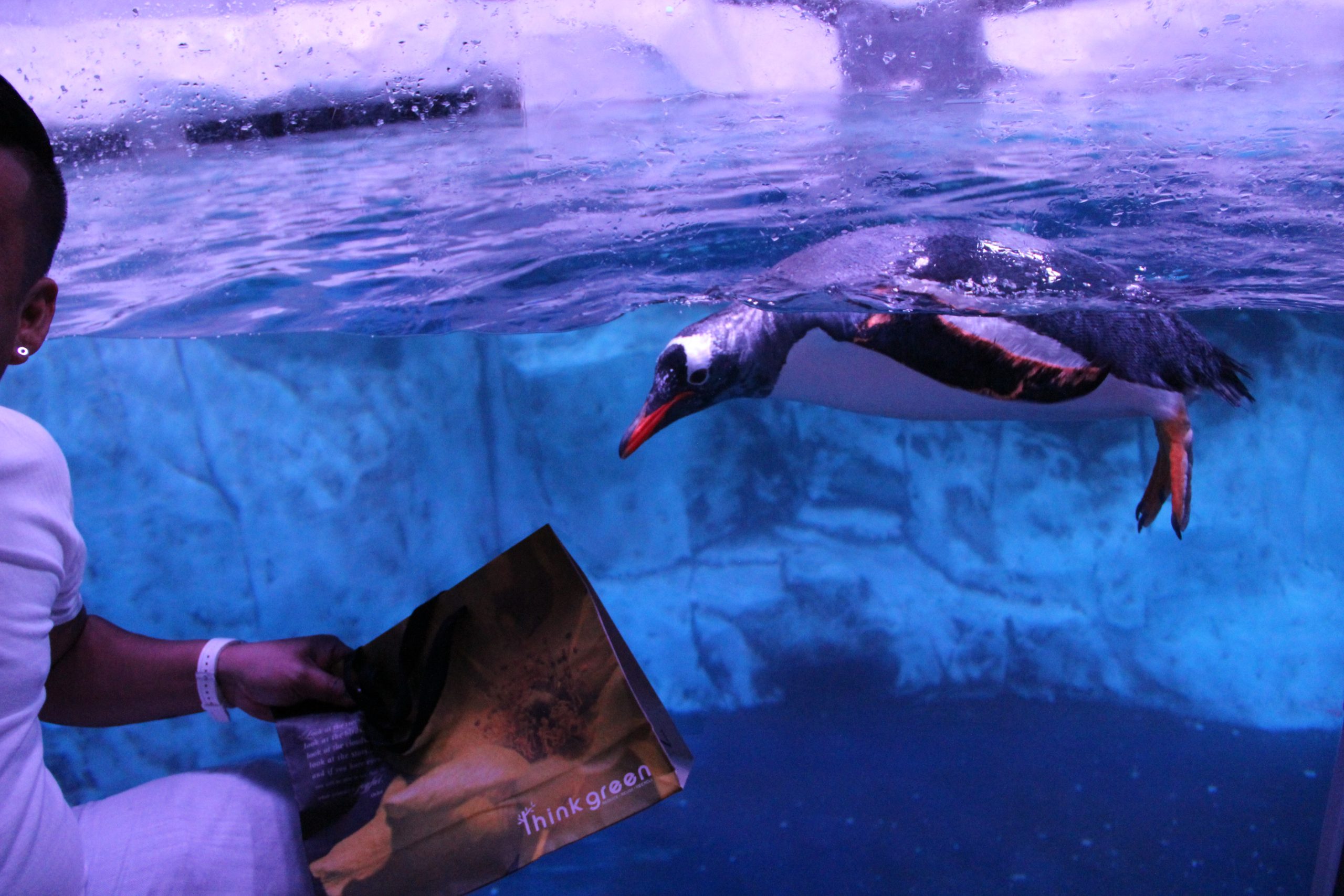 بطريق كأس العالم قطر