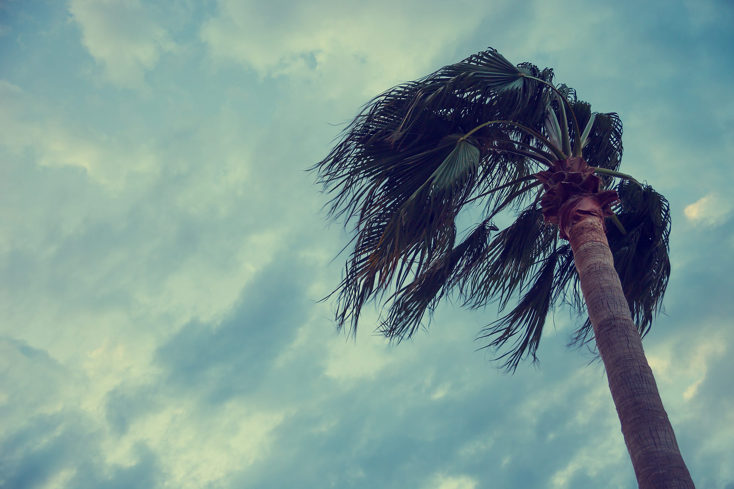 أمريكا والصين وبلد عربي يتسلل للقائمة.. هؤلاء المساهمين الأكبر بالتغير المناخي، فمن الأكثر تضرراً؟