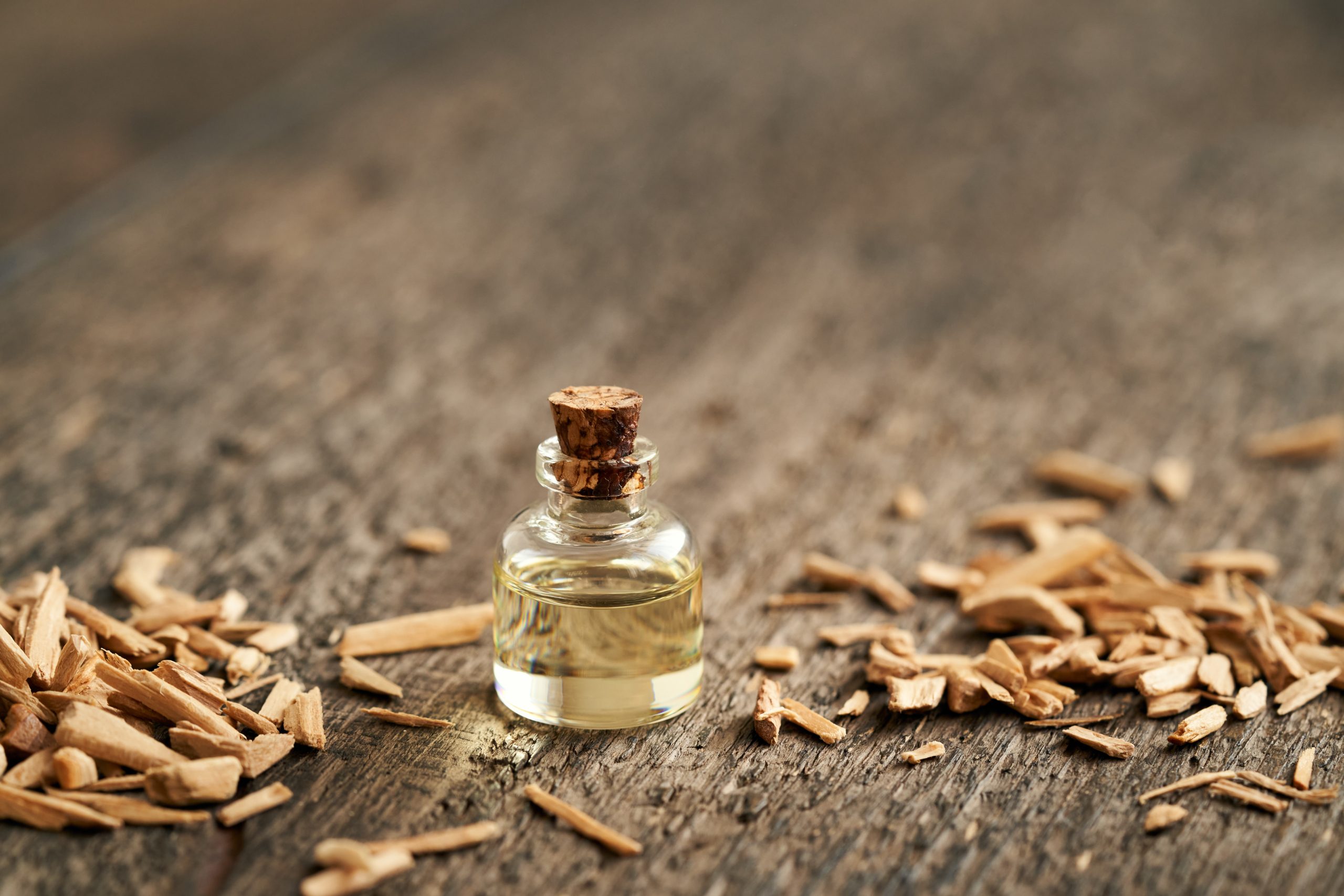 زيت شجرة الأرز|shutterstock