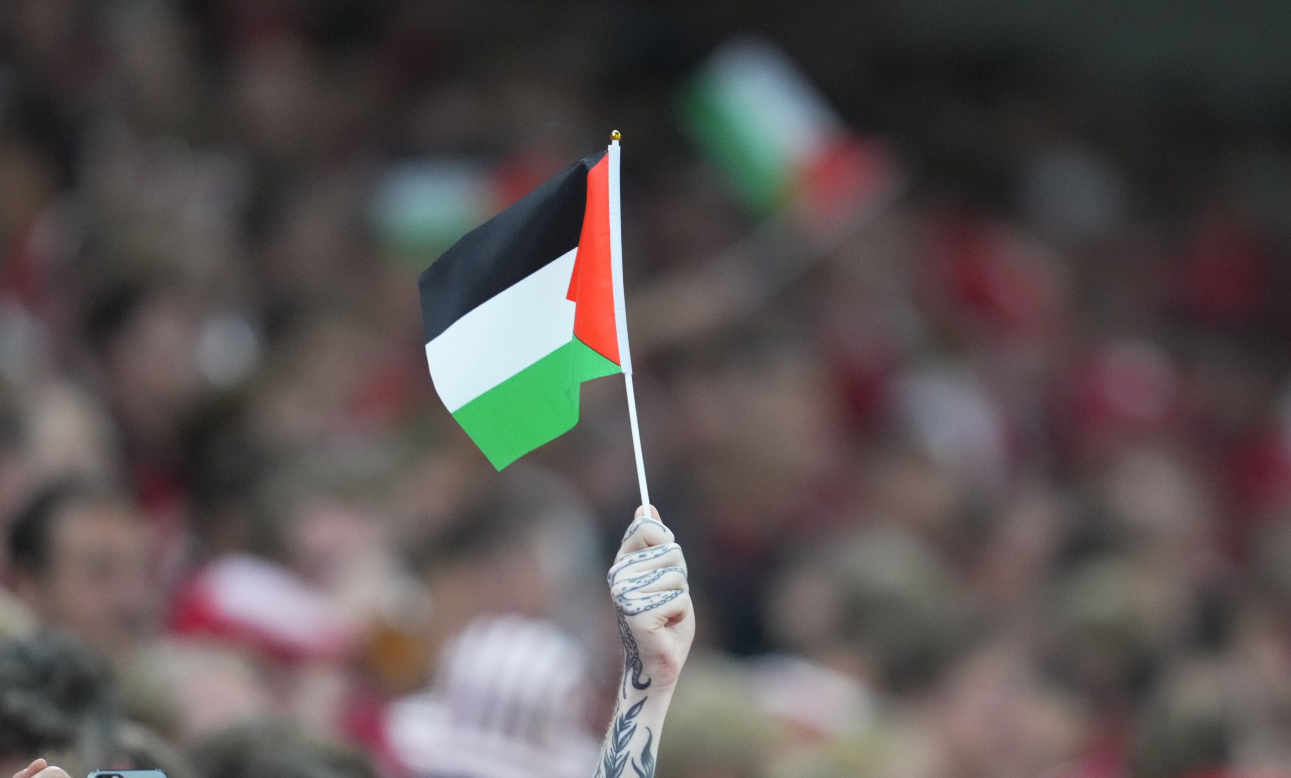 كلمة “فلسطين حرة” جعلت منه نجماً! مشجع بريطاني يتحول لبطل غير مألوف في كأس العالم (فيديو)