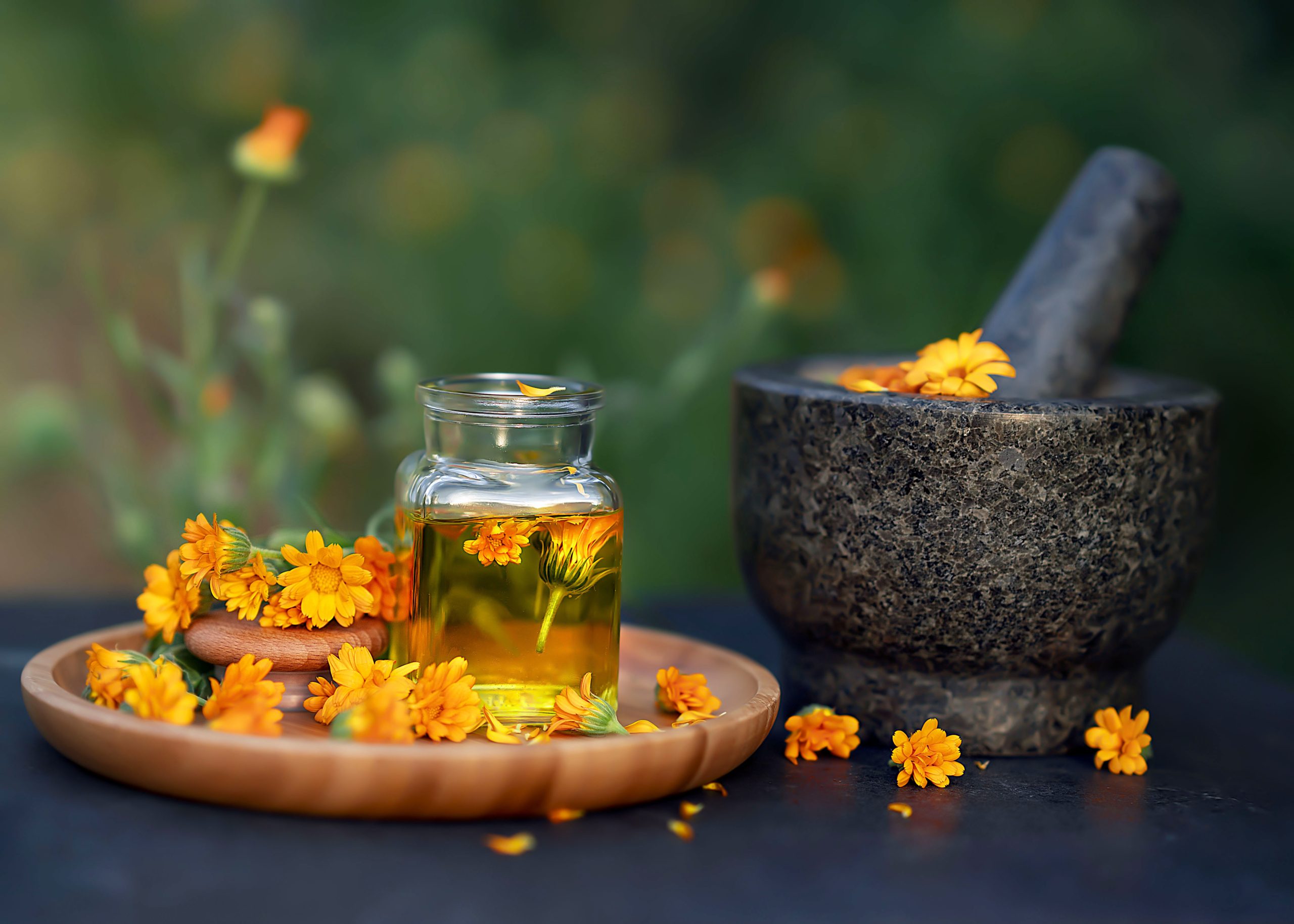 عشبة الأذريون|shutterstock