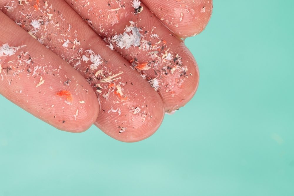 ذوات البلاستيك الدقيقة باتت في كل مكان من كوكبنا وأجسادنا أيضاً - ShutterStock